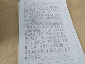 吃瓜大赛作文600字,一场舌尖上的吃瓜大赛盛况